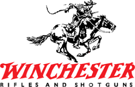 Winchester arm